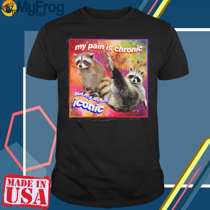 My Pain Is Chronic But My Ass Is Iconic raccoon T-Shirt