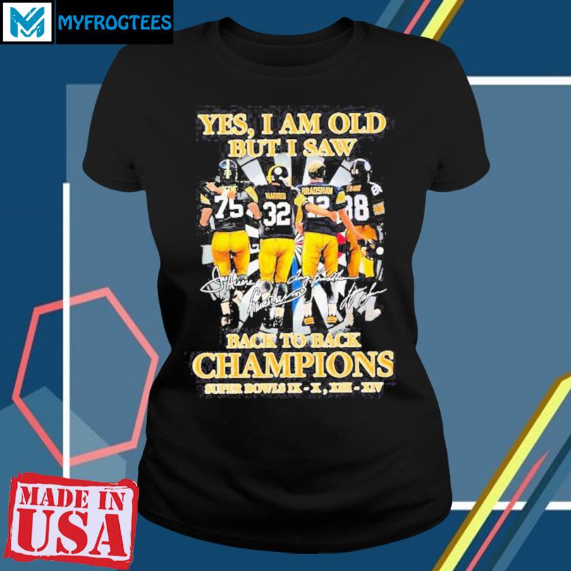 2020 AFC North division Champions Pittsburgh Steelers shirt, hoodie,  sweater and long sleeve