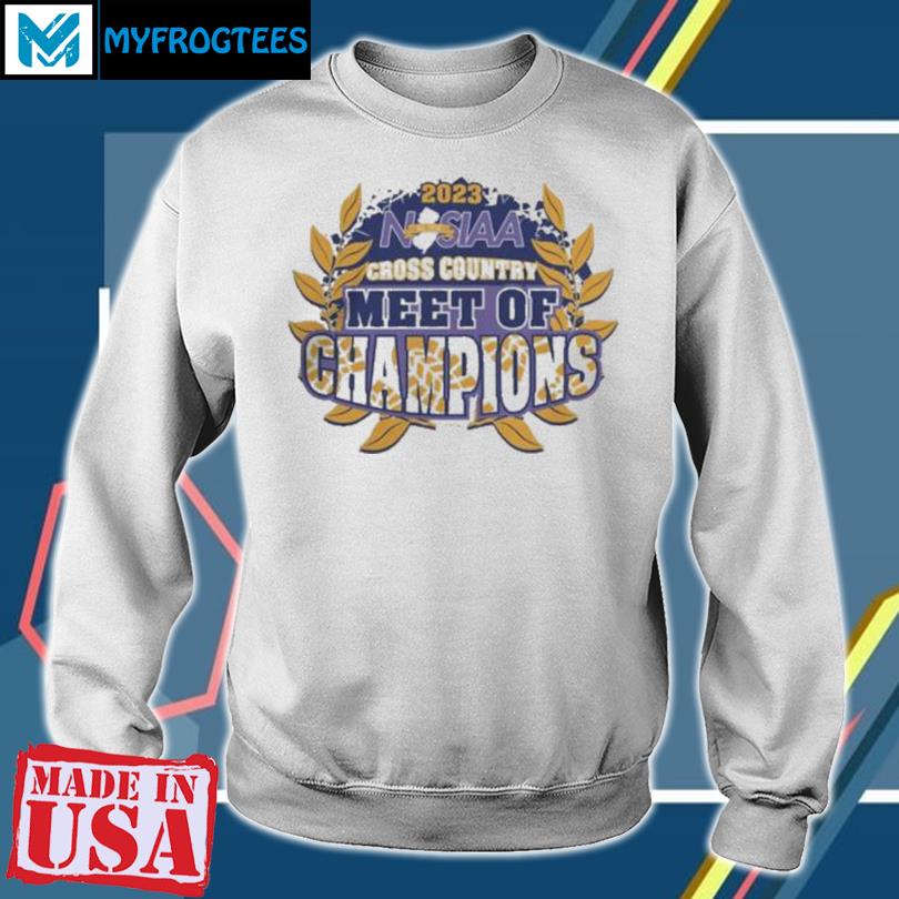 Miami Dolphins NFL Champions Football 2023 logo shirt, hoodie, sweater,  long sleeve and tank top