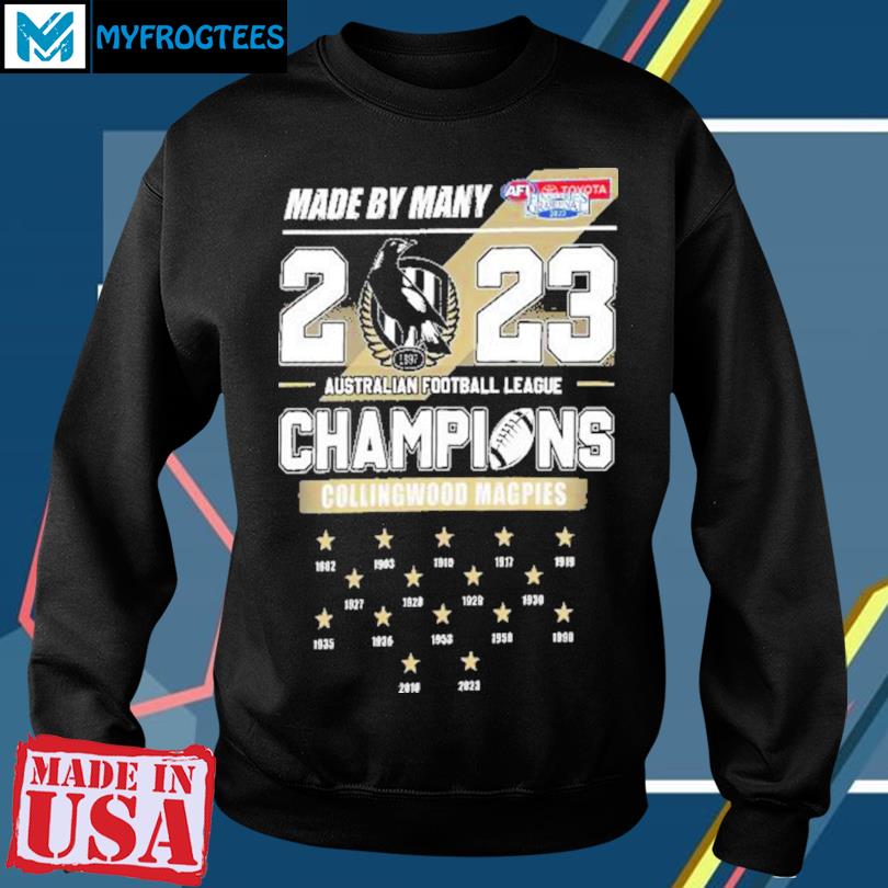 New Orleans Saints 2020 NFC South Division Champions shirt, hoodie,  sweater, long sleeve and tank top