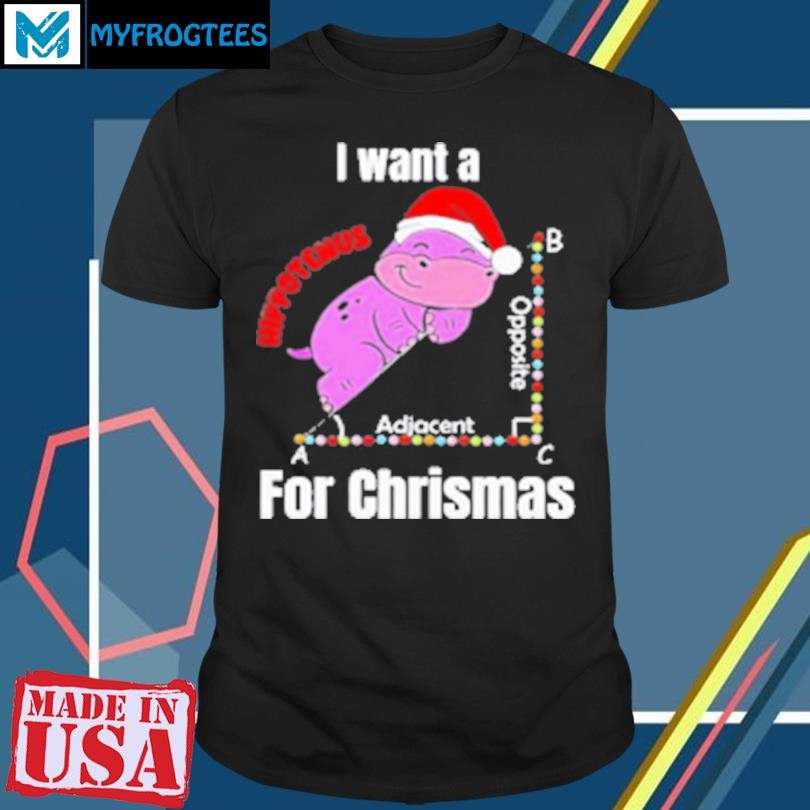 Original I want a hippotenuse for Christmas teacher math cute hippo T-Shirt