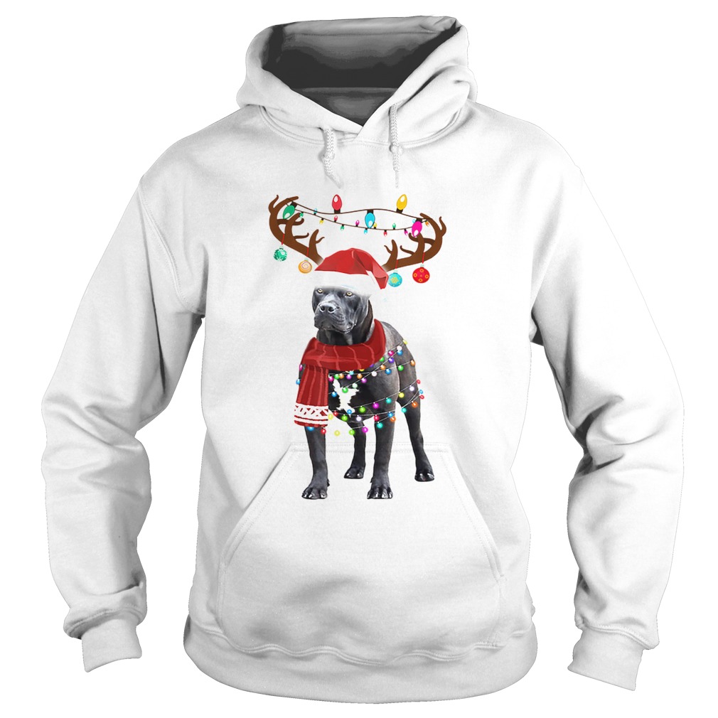 Pitbull deals ugly sweater