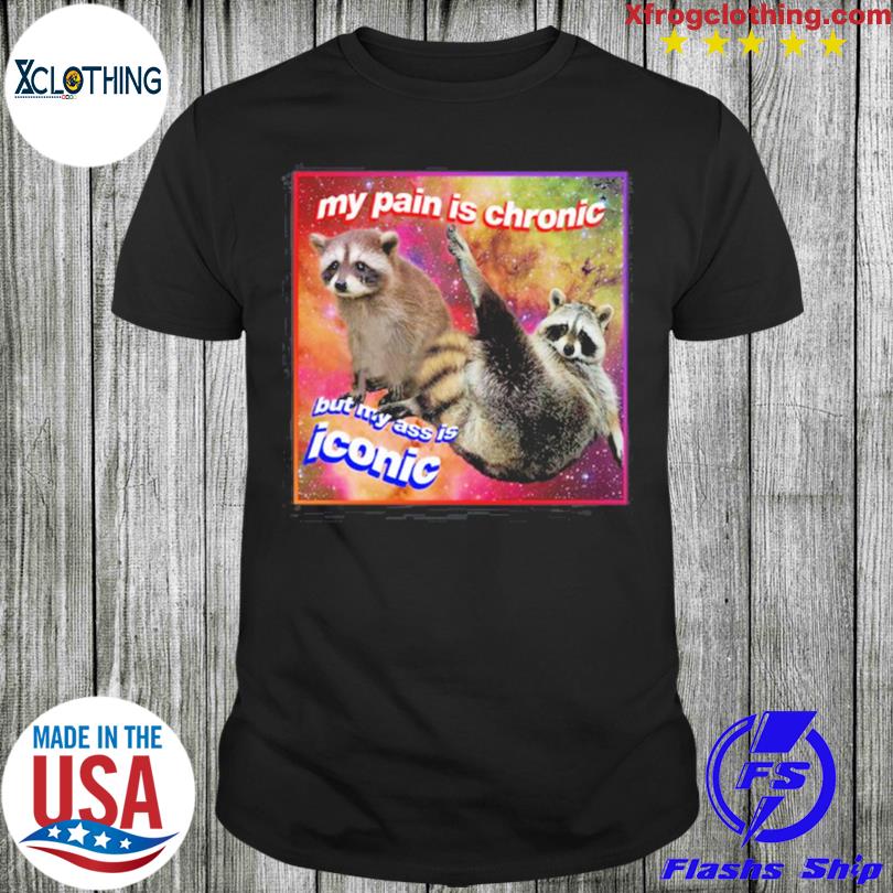 My Pain Is Chronic But My Ass Is Iconic raccoon T-Shirt