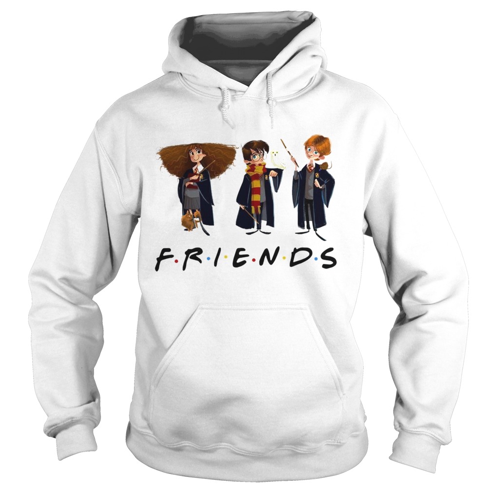 Sudadera harry best sale potter friends